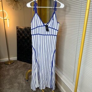 Forever 21 Blue and White Striped V-Neck Dress